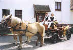 Mit solch einer sch&ouml;nen Kutsche kann man auch stolz sein.