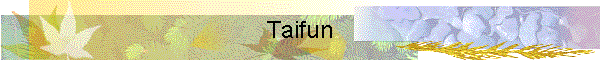 Taifun