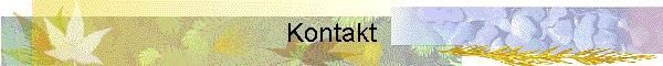 Kontakt